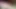 Long Dick's Voracious GH BJ: Bearded Mature HEAD-CIM-SWALLOW