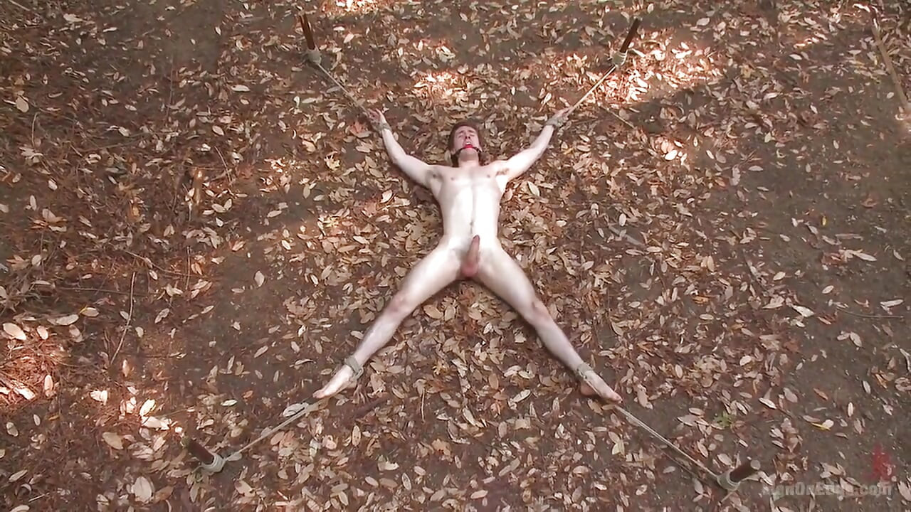 Bi Stud Bound and Edged in the Forrest