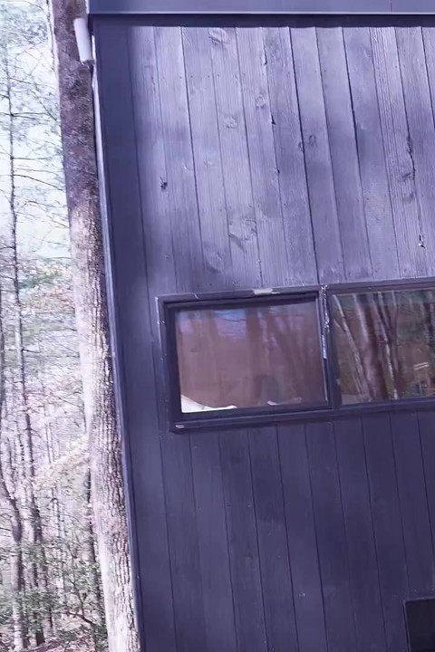 Cabin in the Woods