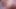 POV フェラチオ あなただけ