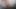 とてもセクシーな濡れた猫のクローズアップ