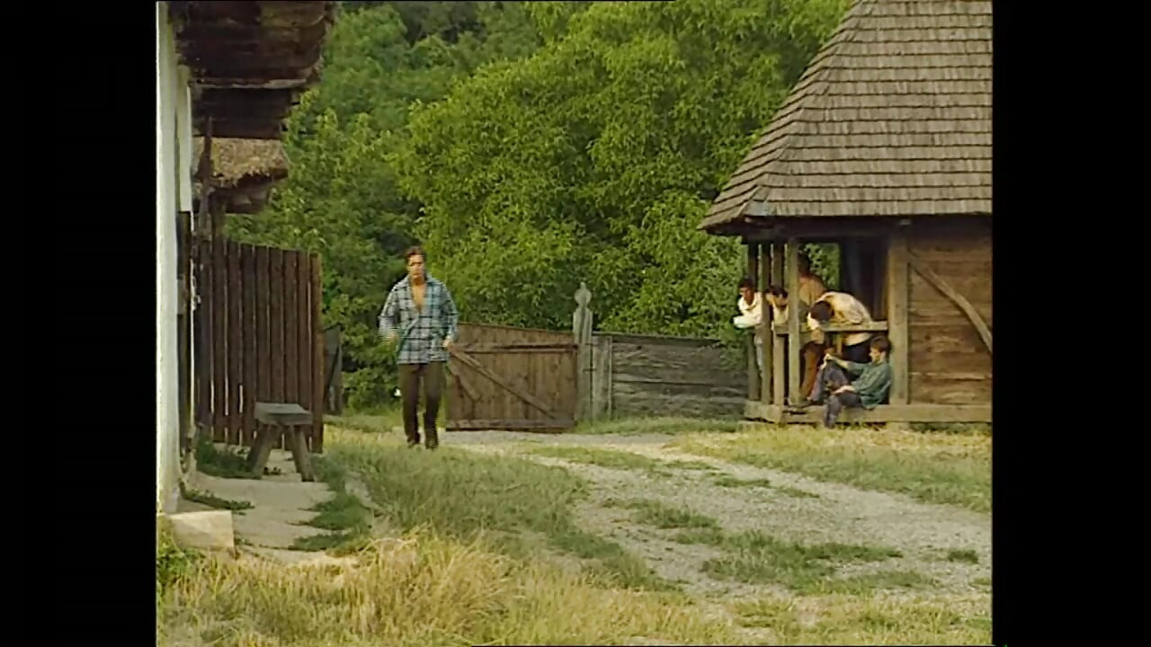 Die Schone und das Biest (Full Movie)