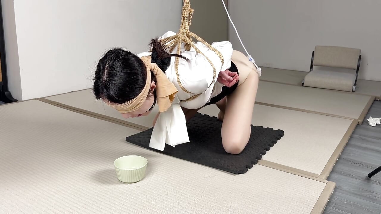 Coleção japonesa de saliva anti-faixa