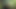 Cumshot in the forest