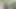 Naked man is surprised while peeing in nature and gets a helping hand