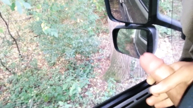 Horny in my Truck Volvo FH geil abspritzen im LKW