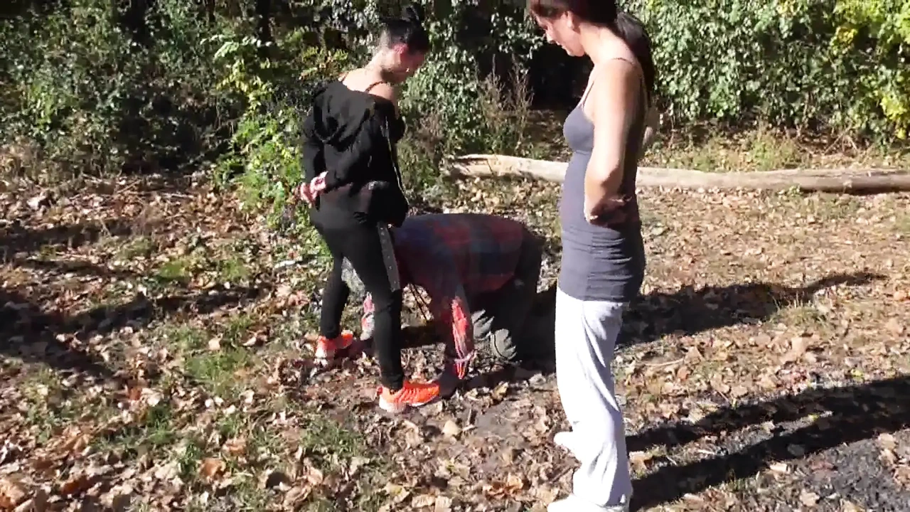 占主导地位的慢跑者走他们的宠物奴隶