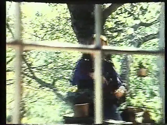Cheryl Hansson: Cover Girl (1981) with Nicole Black