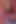 Young Leaks, Dangerous Close-up