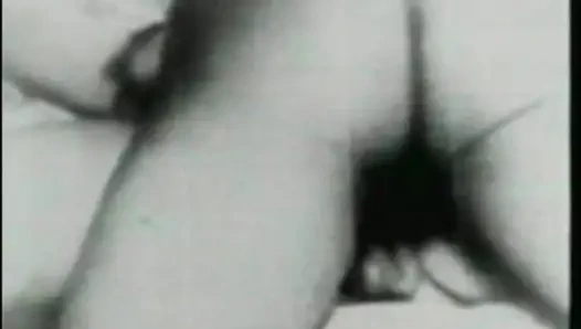 The Neighborhood Whore