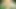 Connivingrat 3D Porn Hentai Compilation 159
