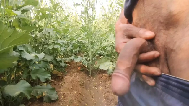 Big black cock tease