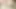 Fat Whore Icined up Big Cock Slurps It up Sweet Cum More Than Enough
