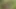 Daddy Getting Fucked in the Forest
