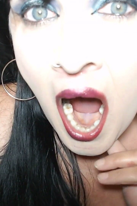 Super Mouth Tour Everything
