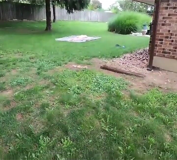 Pervert Pulls Out His Cock, You Won't Believe What Happened Next.