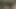 Adultery Couple Sofa Ecstatic Pleasure POV
