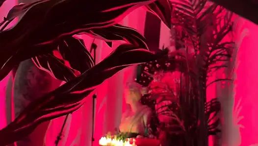 Red Passion Bts with Wetkittycity