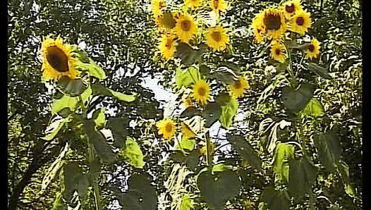 «за Немецкими Дверями» Тщательно Трахается