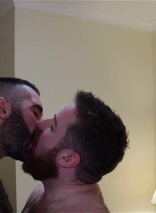 Bears Kissing