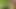 Young guy sucks off sexy uncut boy in the forest