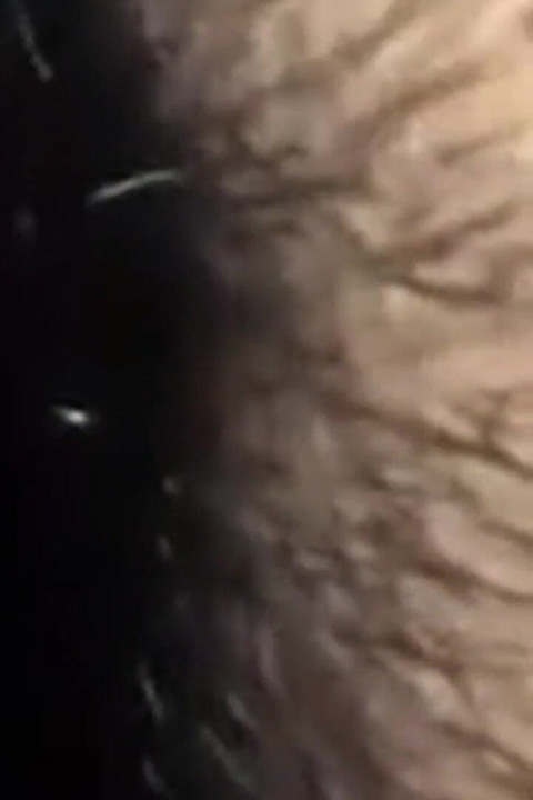 Nepali Couple Fucking After Long Time.