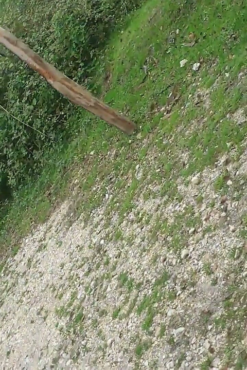 连裤袜露出