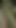 只是想让他在我们散步时感觉良好...但我想我们被抓住了。以为他们看到了一切？😳