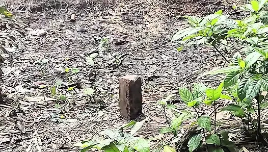 Bahçemin sessiz güzelliği