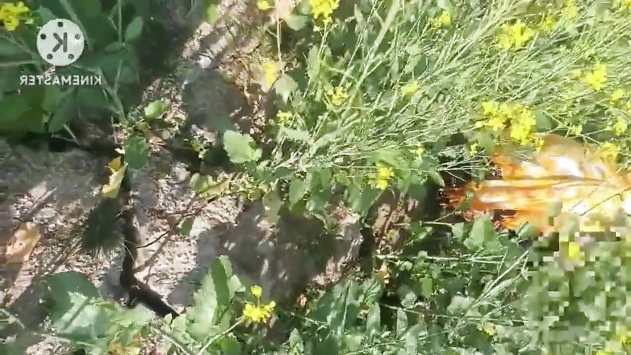 Desi Village Bhabhi knullad av Devar i Utomhus