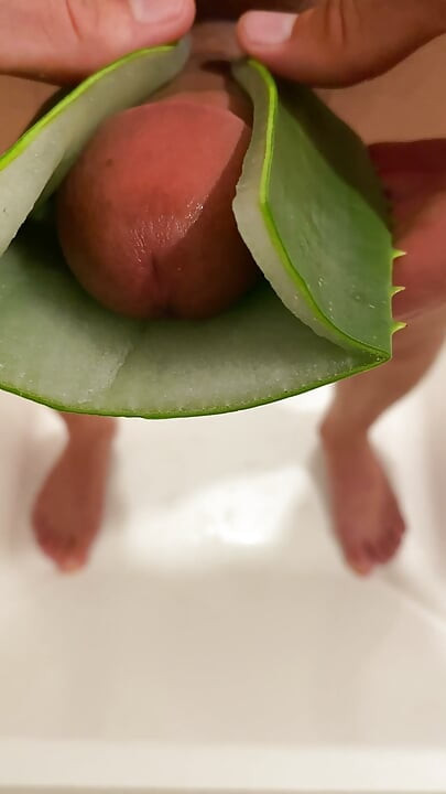 Homemade Aloe Vera Vagina POV
