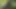 Jen und john ficken im wald