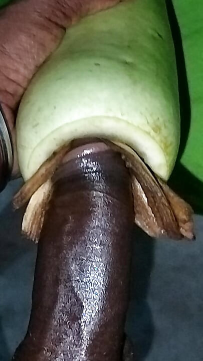 همسرم رفت