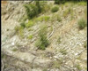 Pratinjau video
