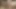 Big titty hung ladyboy with dark tan skin and dark nipples strips off her panties and bra and works her own cock with her hand