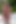Petite hat intensiven sex im pool mit einem bbc - Athenea Rosse und Brandon Cruz