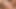 latina shemale blowjob z5