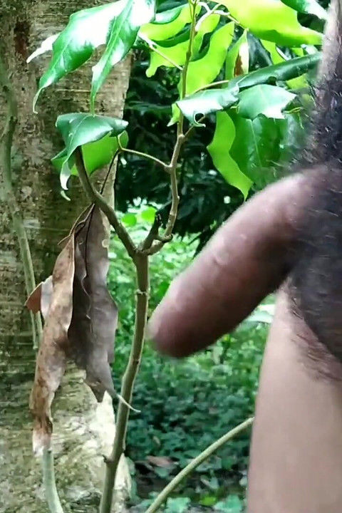 Big Dick, Cock Handjob and Cumshot in Outdoor