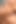 Latin arzu sahnesi 2: büyük götlü seksi latin olgun bir yarakla sikişmeyi seviyor