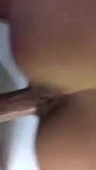 Up close doggy