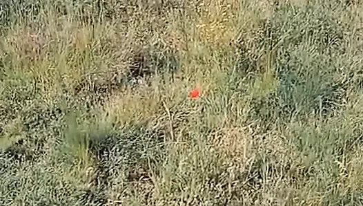 WillyAlexandruPetre video