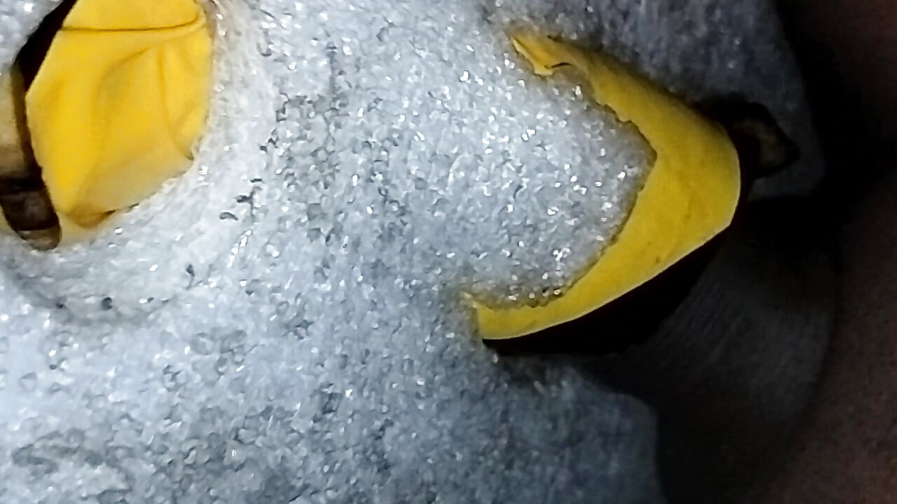 Beauty Cock