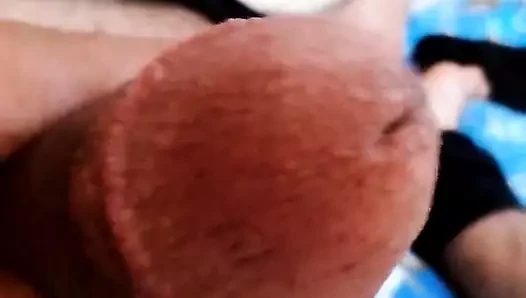 Xxxx