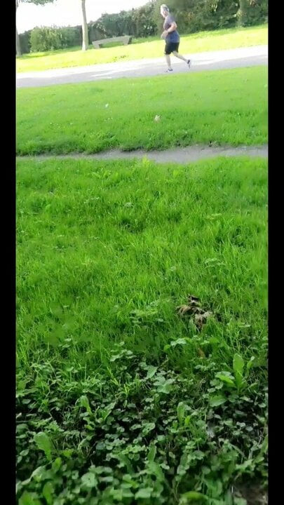 Masturbation outdoors