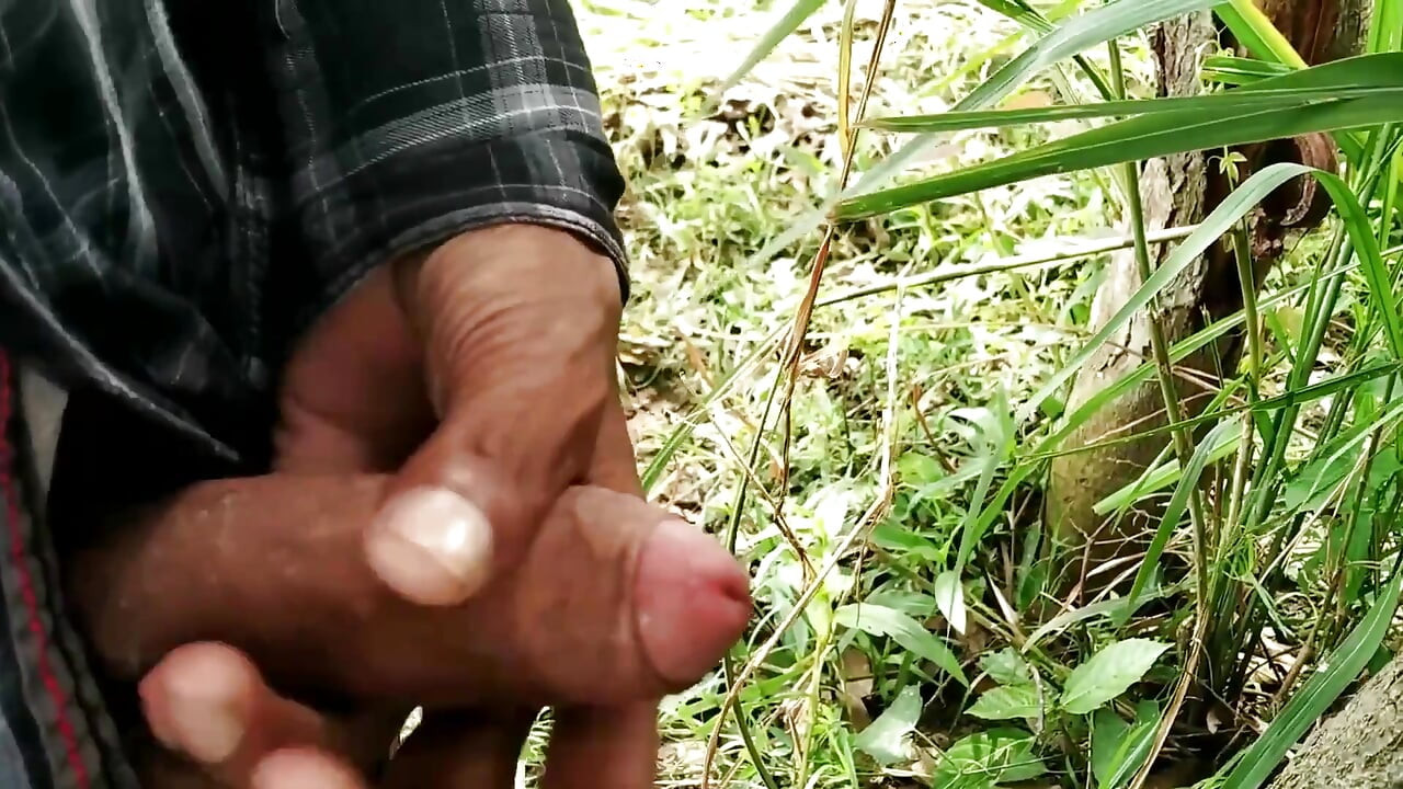 Big Cock Masturbation and Cumshot in Outdoor