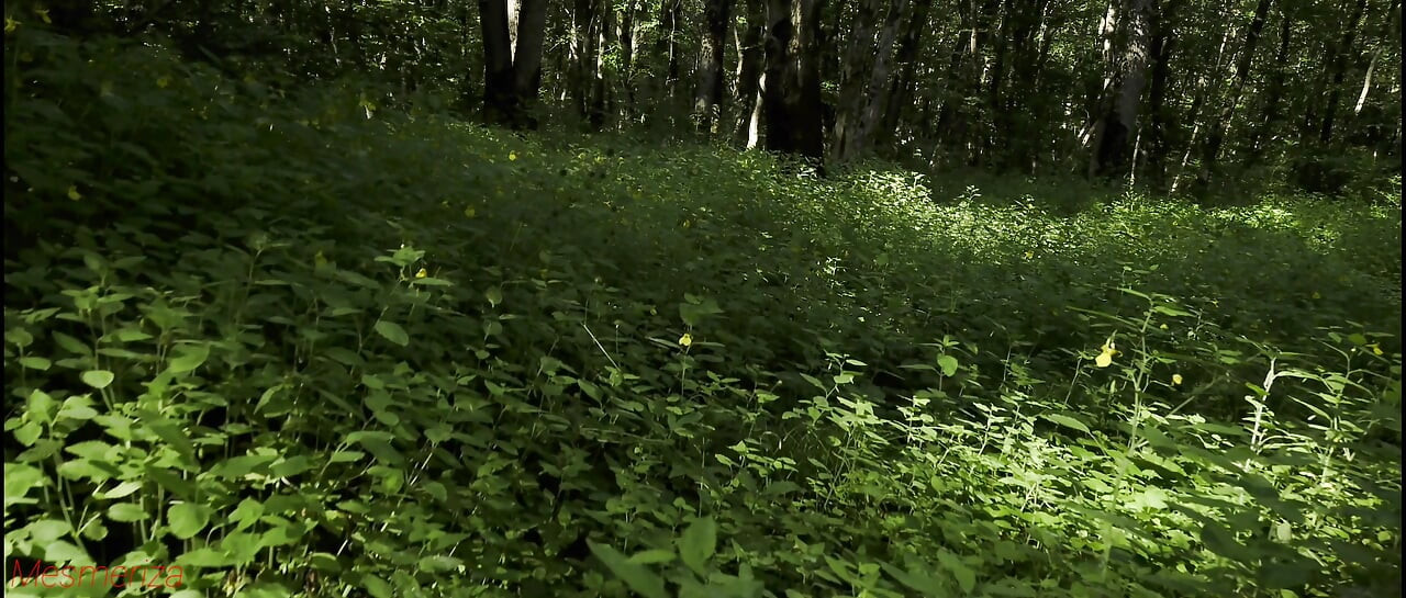 予告編 メスメリザ 23 03 MOV CINEMA CLIP 322 20240814144714515