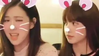 Rose and lisa cute face bunny
