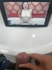Pajilla