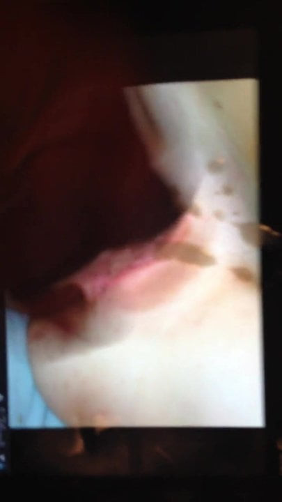 Darkeyes8 Cum Tribute