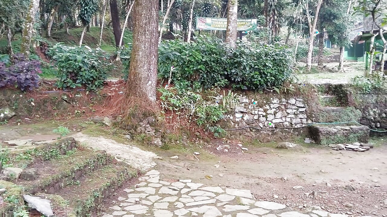 Walking to natural tourist attractions peeing in public toilets